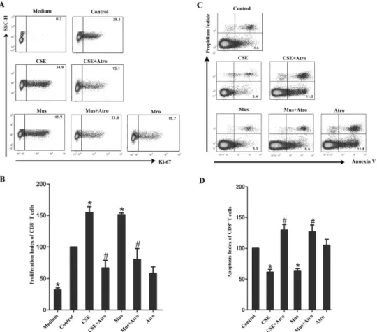 Fig 3. Effects of CSE and muscarinic receptors on proliferation and apoptosis of CD8 + T cells