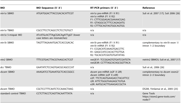 Table 1. MO sequences used to knock down Netrins, Dcc and Dscam and RT primer sequences used to confirm MO efficacy.