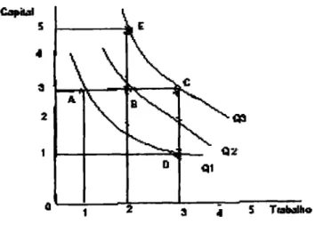 Figura 04 — Curvas de Isoquantas  Fonte: Pindyck e Rubinfeld (1999). 