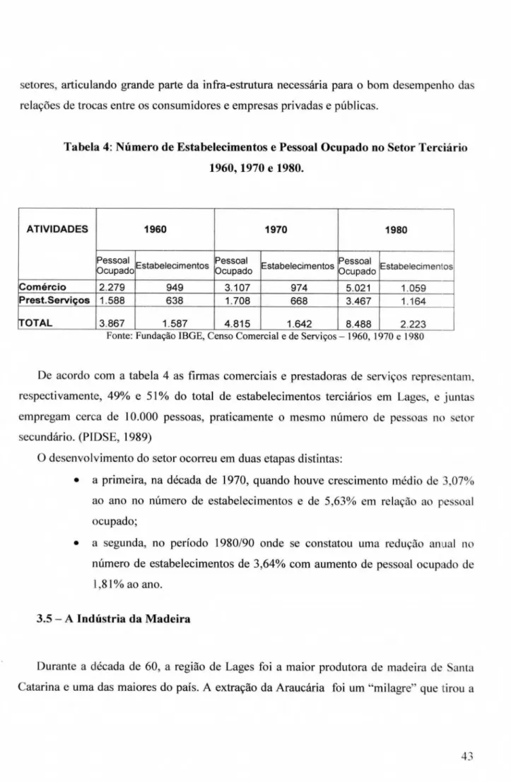 Tabela 4:   Número   de Estabelecimentos  e  Pessoal Ocupado no Setor Terciario  1960, 1970  e  1980