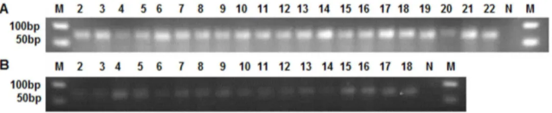 Figure 3. TA-cloning analysis of 33 new miRNAs that have complementary miRNAs* or that had .100 reads