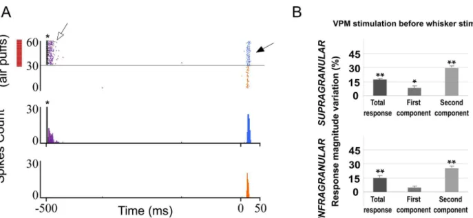 Fig 3. VPM E-stimulation just before whisker stimulus enhances sensory responses in barrel cortex