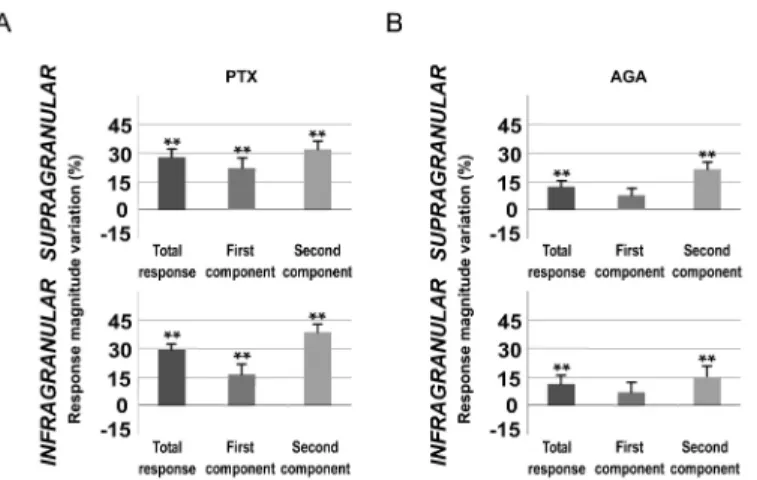 Fig 10. Blocking GABAergic inhibitory transmission in L1 enhances whisker responses. Change (%) in mean sensory response magnitude by PTX (A) or AGA (B) application in L1