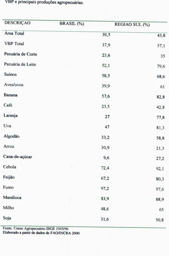 Tabela 3: Porcentagem de participação da agricultura familiar no Brasil  e  região  Sul: Area,  VBP  e  principais produções   agropecuárias