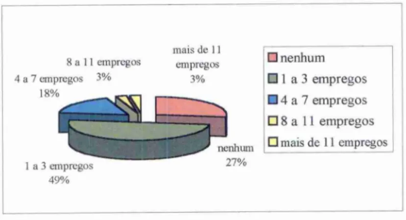 GRÁFICO   13—   Empregos gerados pelos clientes-parceiros da  instituição  Fonte:  Pesquisa  de campo realizada pelo autor