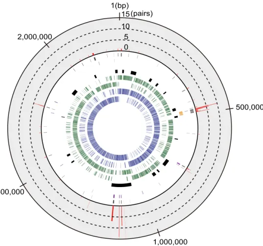 Fig 4. The genome structure of the ST28 S. suis strain NSUI002. The following information on the NSUI002 genome is shown from the innermost circle: protein-coding genes transcribed clockwise (1 st track, blue) and counterclockwise (2 nd , blue), common gen
