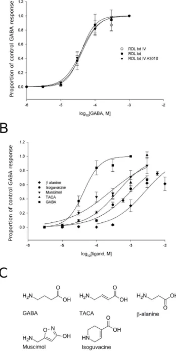 Figure 1. Concentration response curves for GABA and analogues mediated by variants of the RDL bd splice variant.