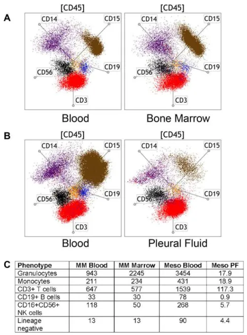 Fig 3. The TBNK/M/G protocol and radar plot analysis are ideal for comparisons of different biological samples