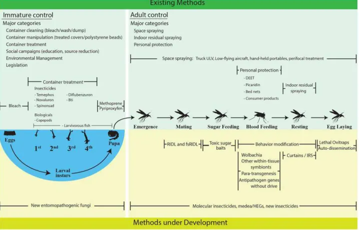 Fig 1. Existing and developing control methods. Existing methods (upper green region) and methods under development (lower yellow region) are enumerated and separated by those that affect larval mosquito stages (left) and those that affect adult mosquito s