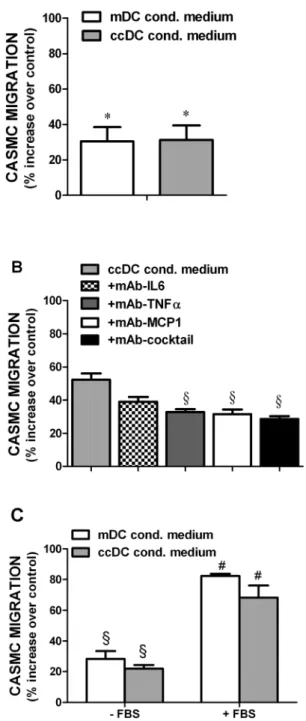 Figure 3. Influence of DCs on CASMC migration. A) Effect of DC conditioned media on CASMC migration