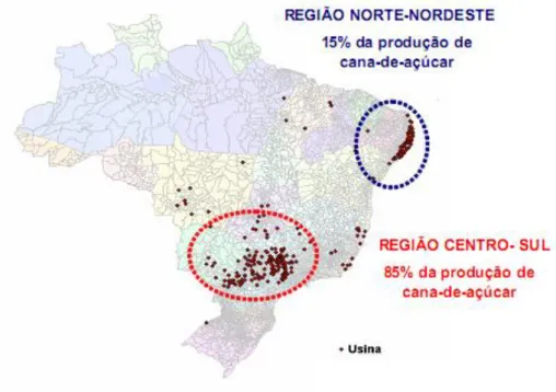 Figura 9: Disposição geográfica da produção de cana-de-açúcar no Brasil. 