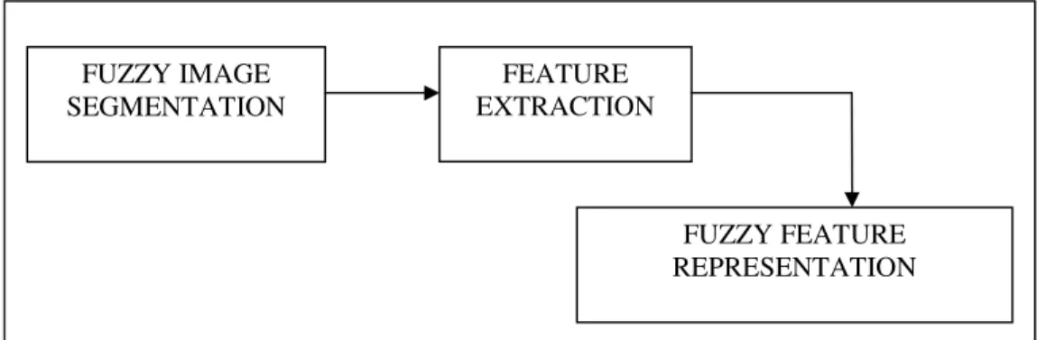 Figure 2. Fuzzy Processing Unit  2.1. Image Pre Processing and Segmentation 