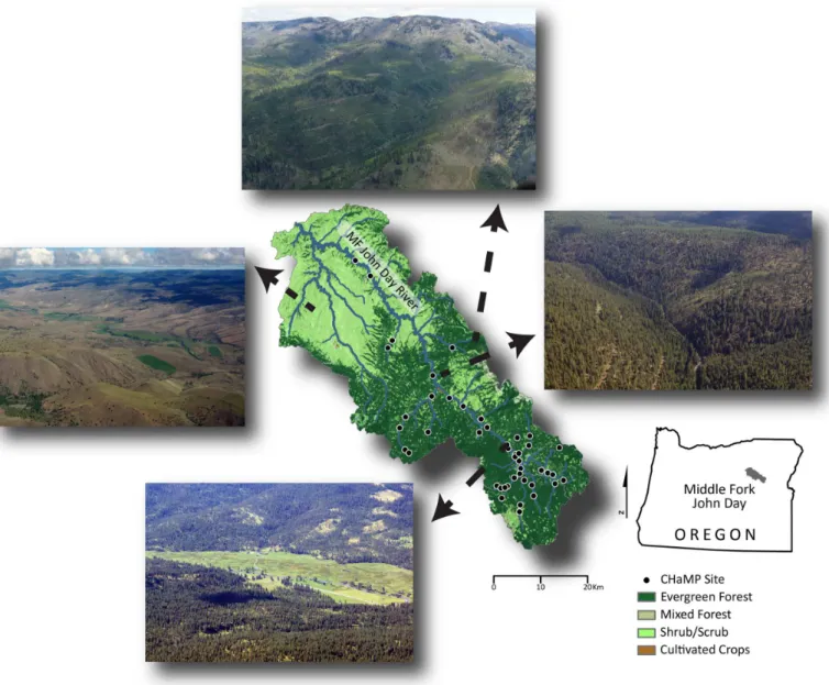 Fig 1. Map of the Middle Fork John Day Basin, Oregon, USA. The 33 Columbia Habitat Monitoring Program (CHaMP) reaches monitored between 2012–