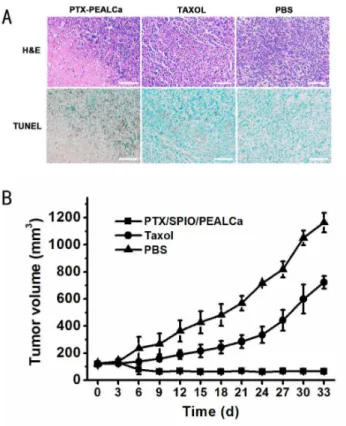 Figure 6. Anticancer efficacy evaluation in vivo . Representative haematoxylin and eosin (H&amp;E) and terminal deoxynucleotidyl  transfer-ase-mediated UTP nick end labeling (TUNEL) staining images (200 6) of tumor sections from the mice of different group