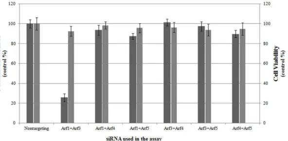 Figure 4. Overexpression of Arf proteins could not rescue EV71 replication from BFA exposure