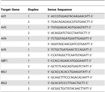 Table 2. Quantitative real-time PCR primers.