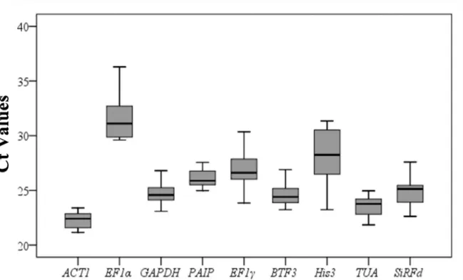 Fig 1. Ct values for nine candidate reference genes in all samples. The final Ct value of each sample was the mean of three biological and technical replicates
