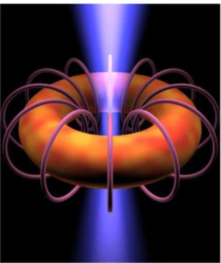 Fig. 1: A rotating toroidal black hole with a non-zero electrical charge generates a magnetic field whose flux lines are capable of resisting a neutralising flow of charged particles from the plasma of an orbiting accretion disk or imploding star