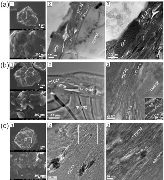 Figure 1. Occurrence of clay minerals in three Asian dust particles (a, b, c). Panel 1 in each particle consists of two SEM images of the original particle (low and high magnifications)