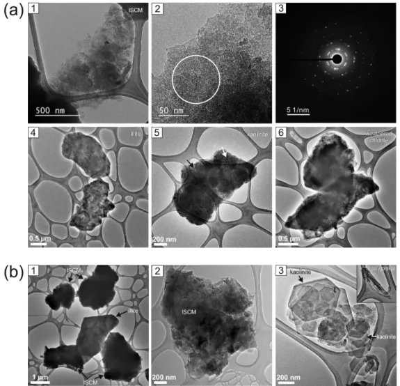 Figure 3. TEM images of clay mineral grains loaded on the micro-grid. Clay mineral grains from Asian dusts, showing ISCM (panel 1), discrete illite (panel 4), kaolinite (panel 5), and chlorite (panel 6) grains