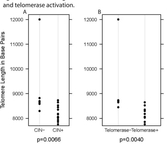 Table 1) though those tumors that were ALT- had more gains/