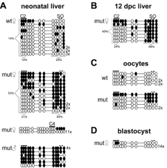 Figure 5. Methylation profiles of WT and mutant ICRs. Each horizontal line of circles represents a unique sequence.