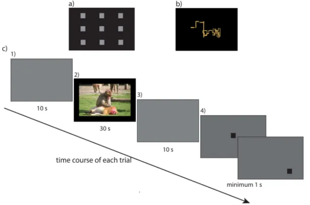Table 1. Specific social behaviors depicted in the 30-second videos.