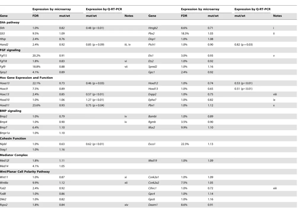 Table 1. Gene expression changes in Nipbl +/2 mouse limb buds.