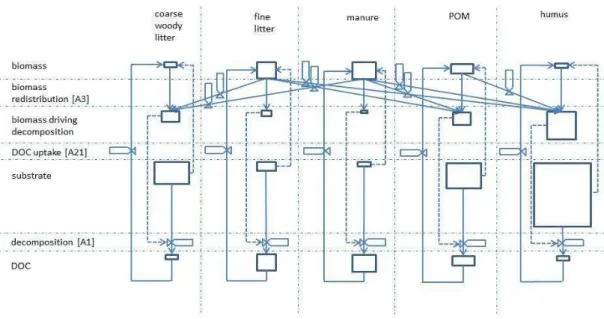 Fig. 1. Conceptual model for priming implemented in ecosys. Biomass in each of five substrate- substrate-microbe complexes (coarse woody litter, fine litter, manure, particulate organic matter (POC) and humus) is driven by uptake of DOC from decomposition