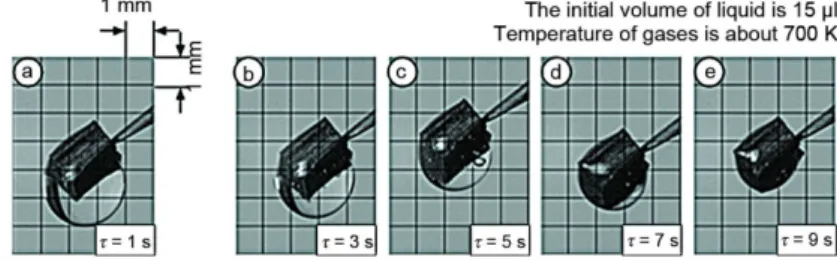 Figure 2. Photos of water droplet with inclusion during vaporization  according to the first scheme 