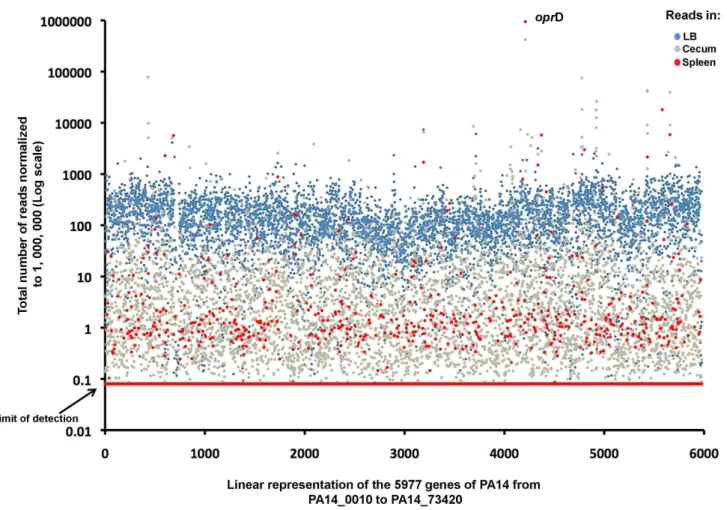 Figure 4. Comparison of sequence reads in each sample. Sequencing reads in each of the 5,977 genes of PA14 recovered from the LB (blue dots), cecum (grey dots) or spleen (red dots).