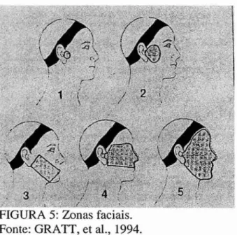 FIGURA  5:  Zonas  faciais. 