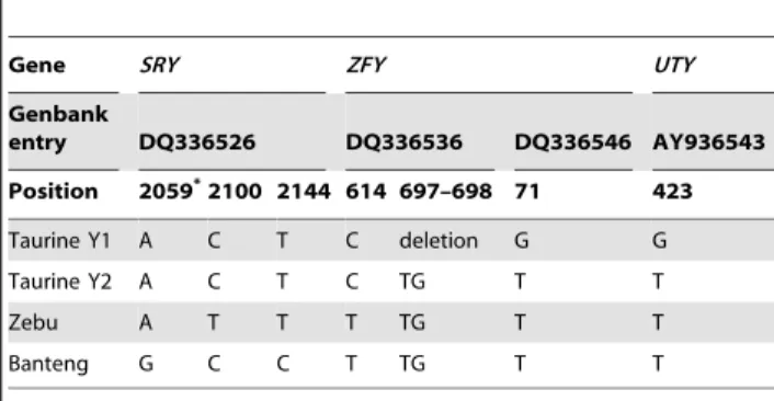 Table 2. Y-chromomal sequence variation diagnostic for indicine and Y1 and Y2 taurine haplotypes.