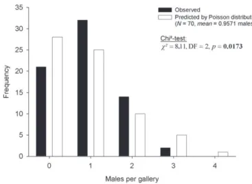 Figure 2. Occurrence of males in laboratory galleries of Xyleborinus saxesenii. Th e maximum number of  males per gallery across the observation period is reported (N = 70 galleries)