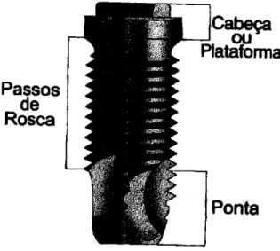 Figura 06 Componentes de Implante do  Sistema  Branemark  (SCARS0,2001) 