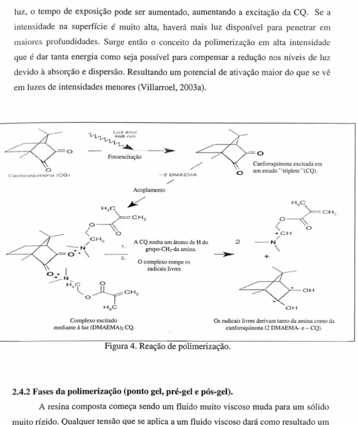 Figura  4. Reação  de  polimerização. 