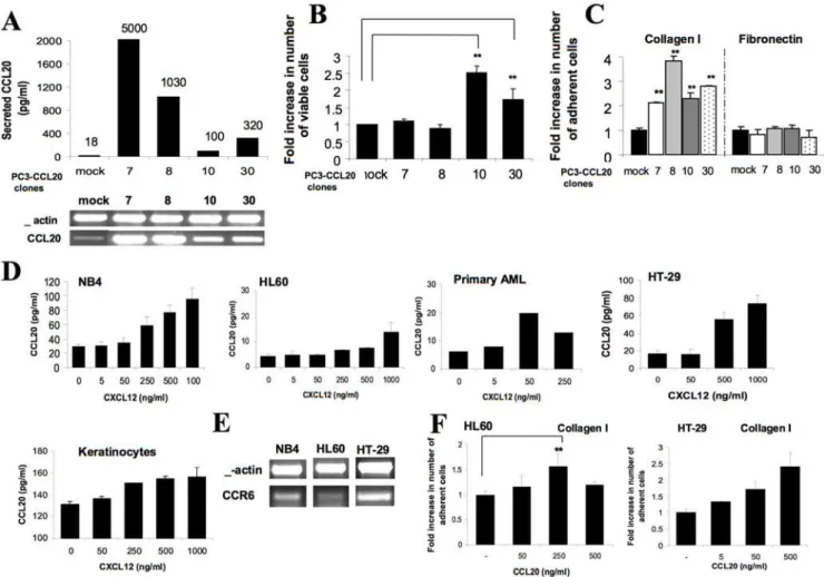 Figure 3. Regulation of CCL20 expression and function in various tumor cells. (A) CCL20 mRNA and protein expression in CCL20- CCL20-transfected PC3 single-cell clones tested by semi-quantitative RT-PCR and ELISA