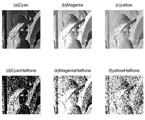 Figure 3.1 (a) Secret Image. (b) Filtered Secret Image 