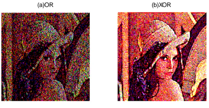 Figure 3.5 Reconstruction (a) result of OR operation of shares of figure 3.4  (b) result of XOR operation of shares of figure 3.4 