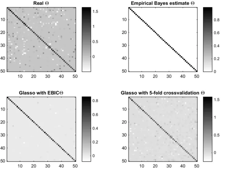 Fig 7. Image plots of the precision matrices. From left to right at the first row: The image plot of the real Θ and empirical Bayes estimate