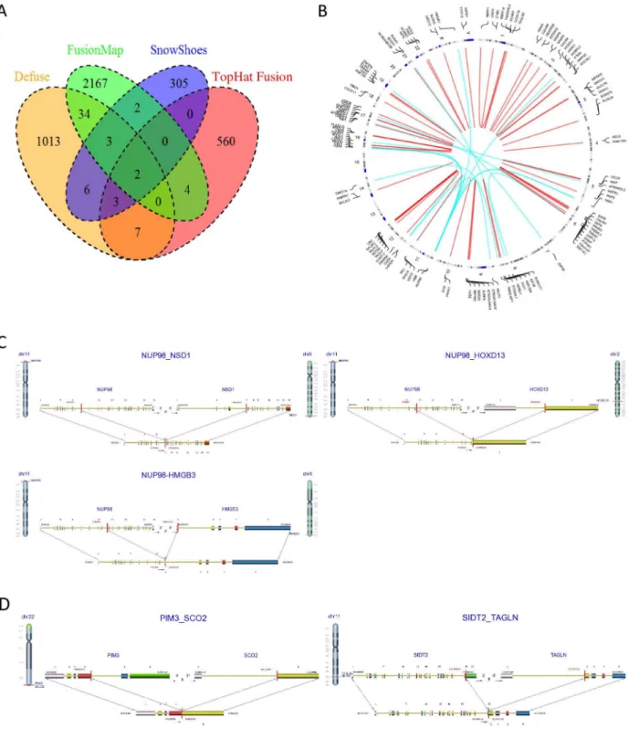 Fig 7. Identification of gene-fusion events in pediatric AML samples. (A) Gene-fusion events were detected using four gene fusion detection methods.