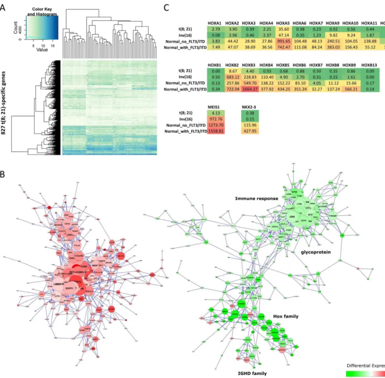 Fig 5. Co-expression of t(8;21)-specific genes. (A) Heatmaps showing the clustering of 827 t(8;21)-specific genes in 64 pediatric AML samples