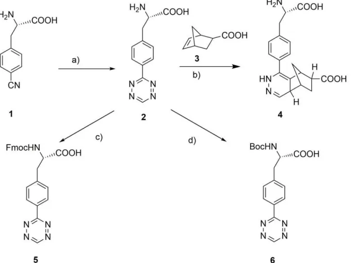 Fig 1. Synthetic route of tetrazine-containing amino acid (S)-3-(4-(1, 2, 4, 5-tetrazin-3-yl) phenyl)-2-aminopropanoic acid 2 and protected tetrazine- tetrazine-containing amino acid 5 and 6, and the IED-DA reaction of 2 with 5-norbornene-2-carboxylic acid