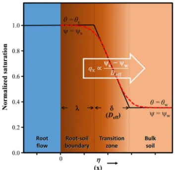 Figure A1. Schematics of the root flow–soil boundary and soil moisture transition for the parameterization of horizontal water flux q x 