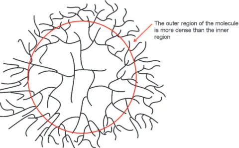 Fig 6. Aqueous SEC weight and molecular density distributions of glucans. Phytoglycogen (a) and liver glycogen (b) weight distributions (dashed lines) and molecular density distributions (c) (solid lines)