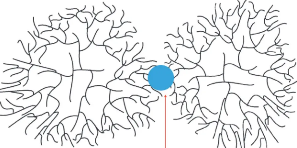 Fig 8. The “crowding-assembly” model of particle synthesis. The small β particles are linked (red arrow) to form larger alpha particles