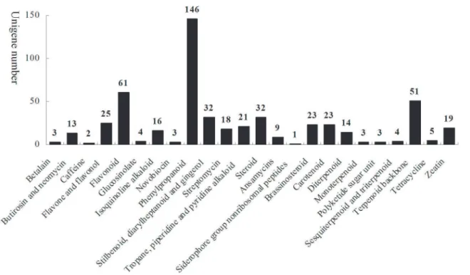 Fig 3. Unigenes related to secondary metabolism from RNA-Seq experiments on D. composita.