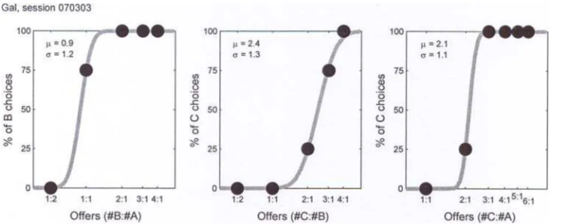 Figure 3. Food condition. The x-axis represents the product n A:B * n B:C , the y-axis represents n A:C , and each data point represents one of the 24 sessions consistent with value transitivity.