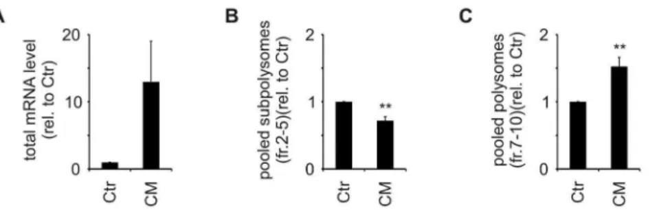 Figure 4. Cyp24a1 translation is initiated in part cap-independently. MCF7 cells were treated with rapamycin [100 nM] for 4 h and subjected to polysomal fractionation