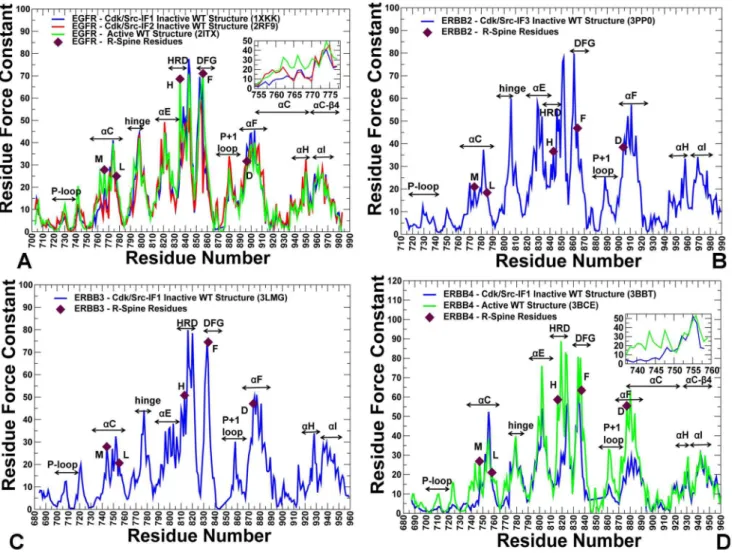 Figure 6. The Force Constant Profiles of the Kinase Catalytic Domain. Dynamics-based analysis of structural stability in the ErbB crystal structures